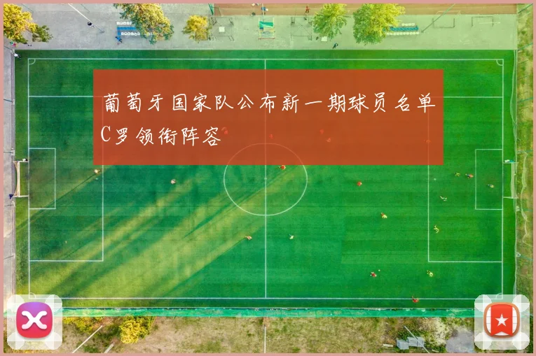 葡萄牙国家队公布新一期球员名单C罗领衔阵容