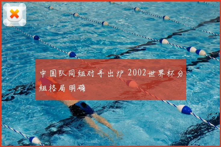 中国队同组对手出炉 2002世界杯分组格局明确
