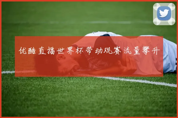 优酷直播世界杯带动观赛流量攀升