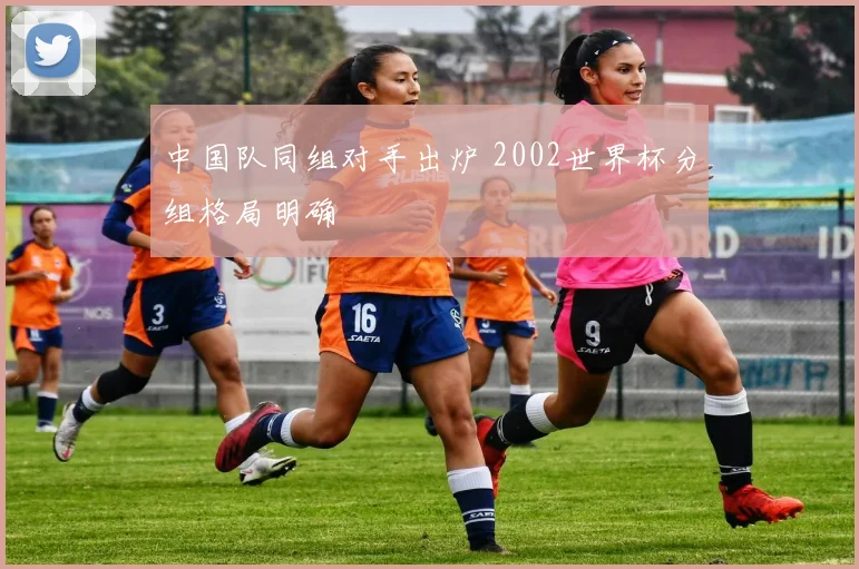中国队同组对手出炉 2002世界杯分组格局明确
