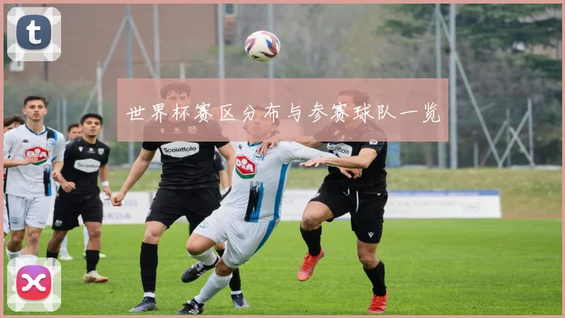 世界杯赛区分布与参赛球队一览